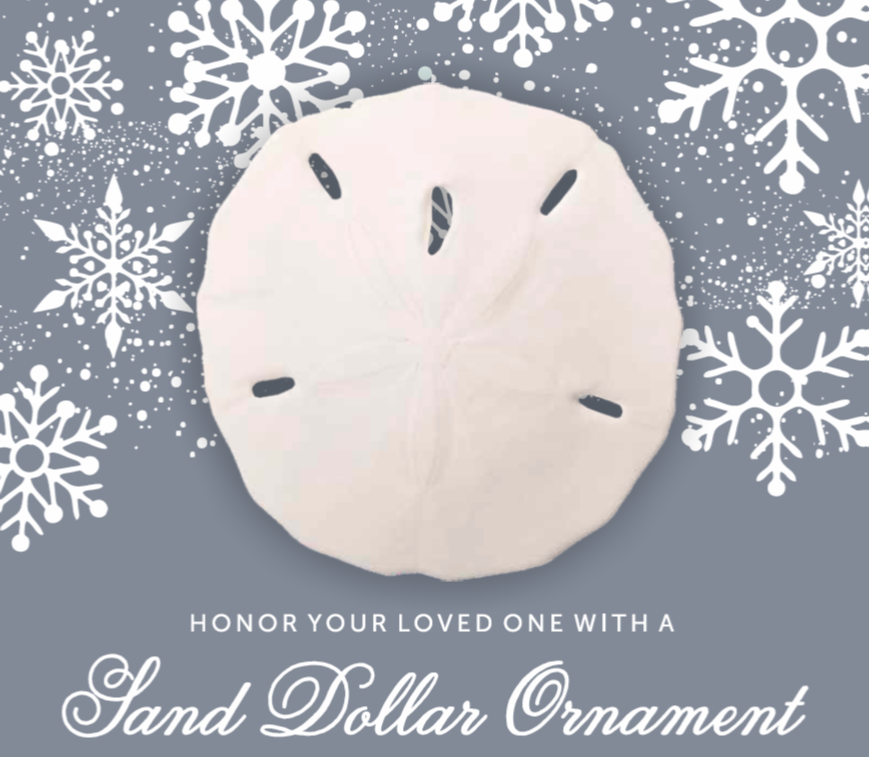 Sand Dollar Ornament